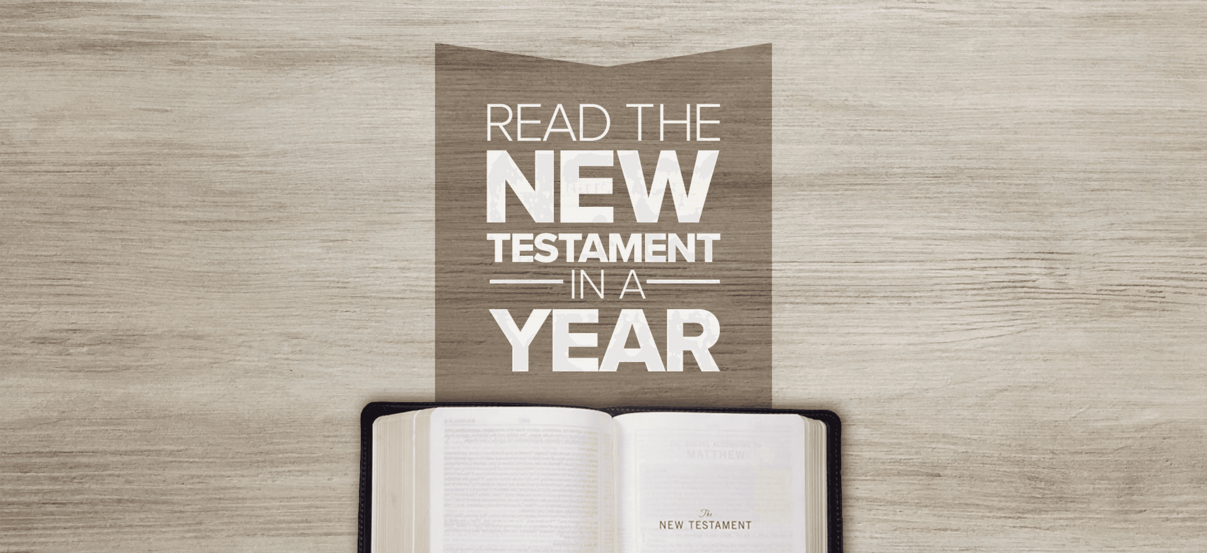 New Testament in a Year