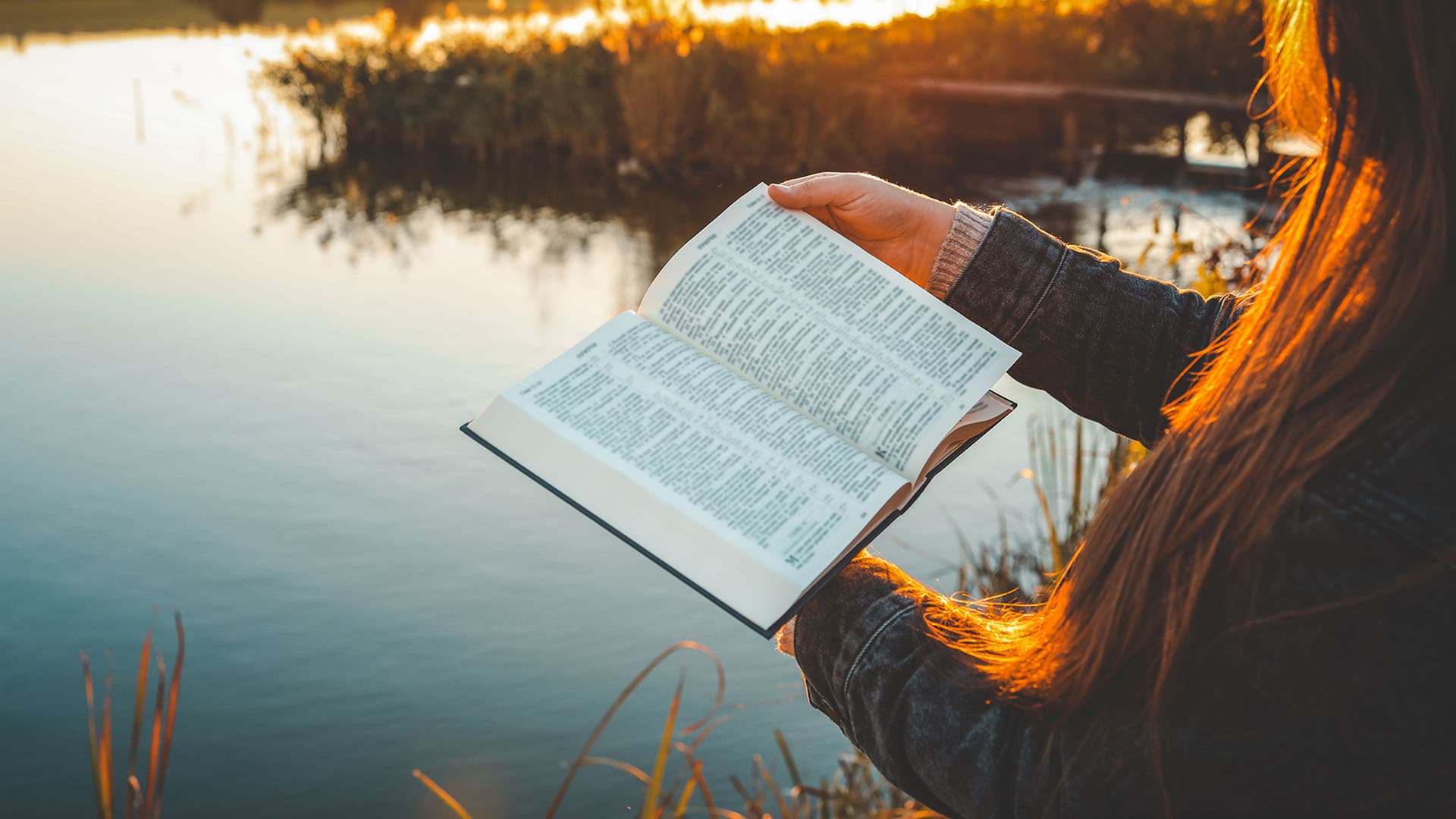 Read Through the New Testament