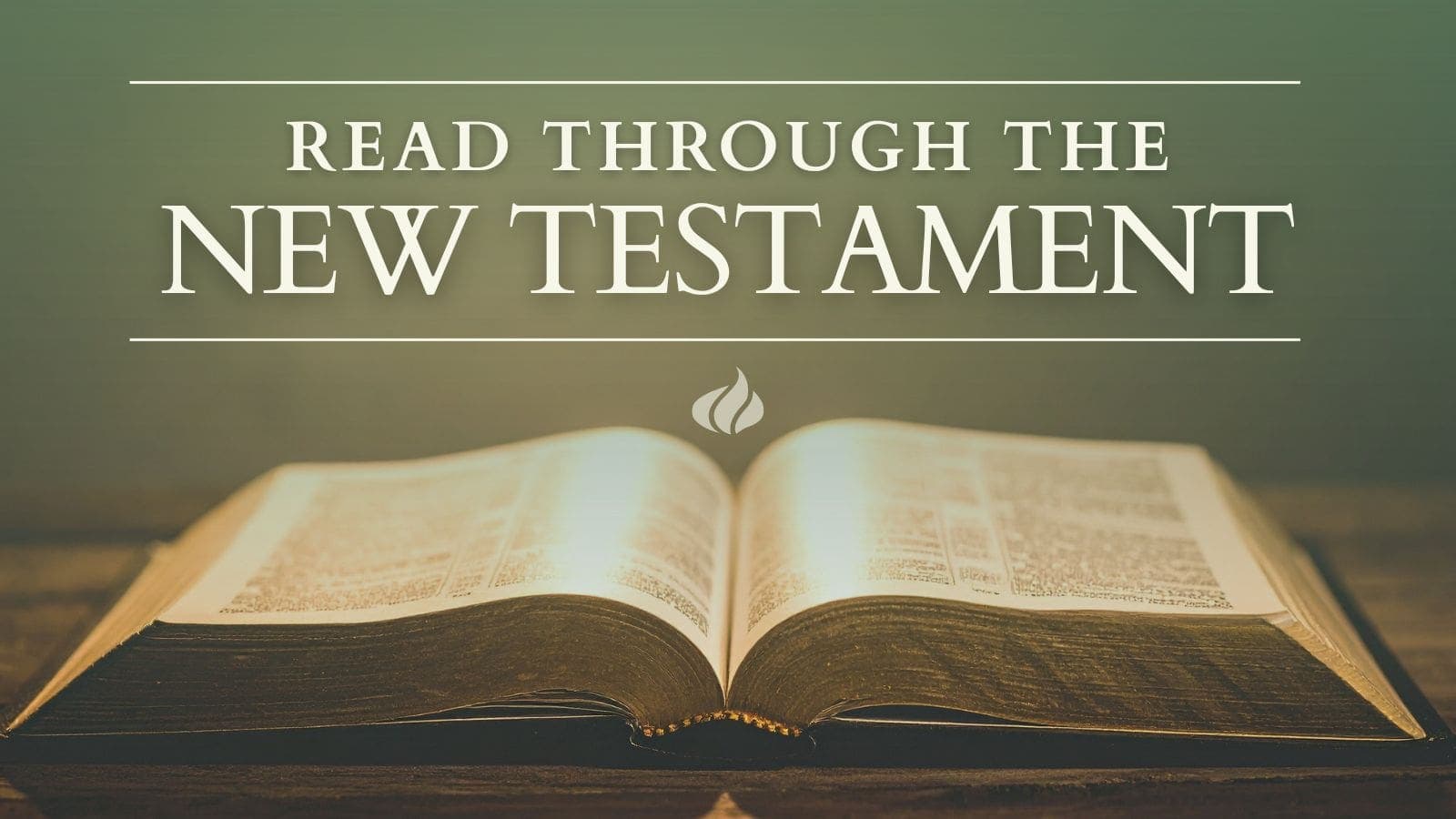 Read Through the New Testament