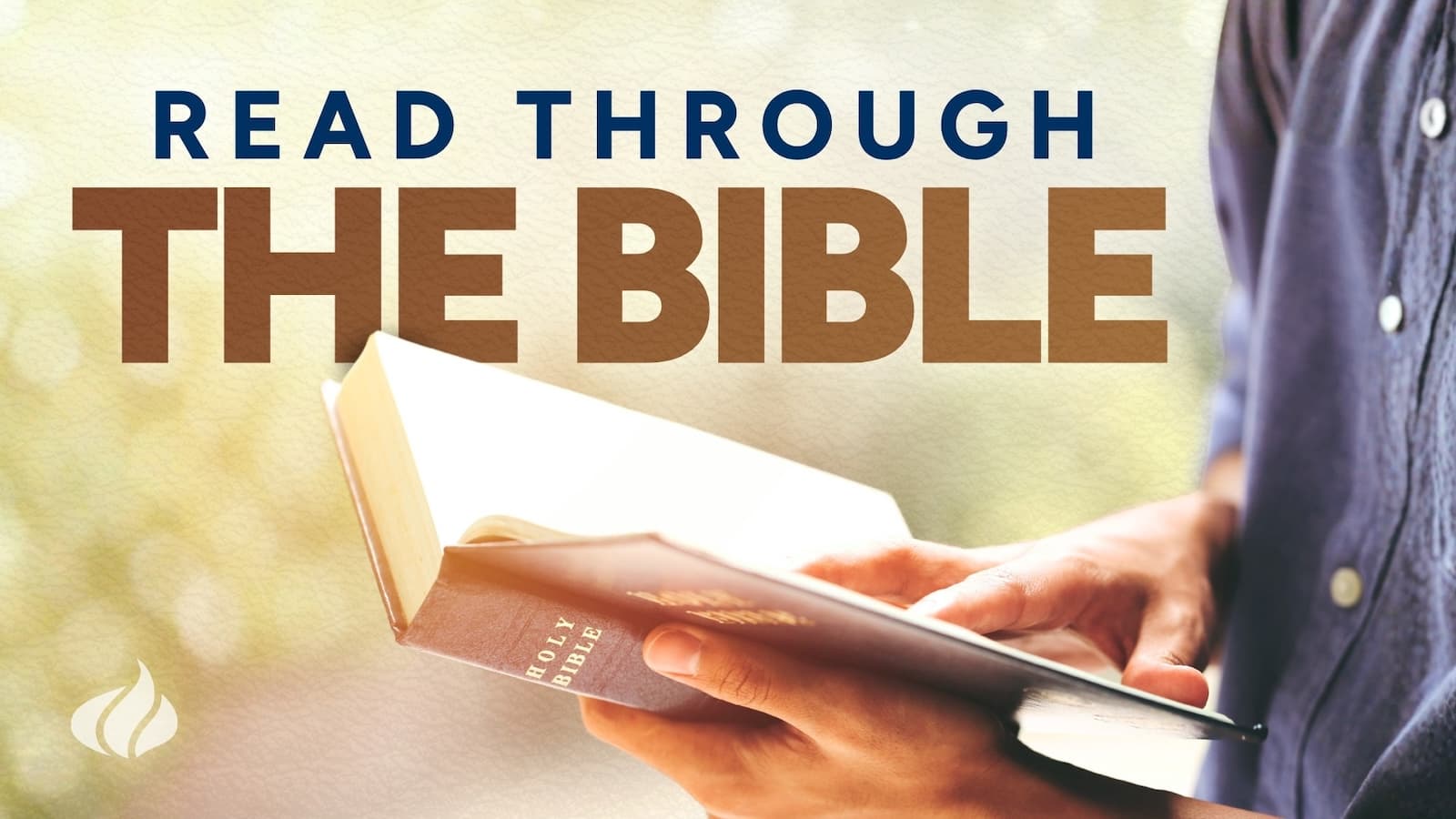 Read Through the Bible